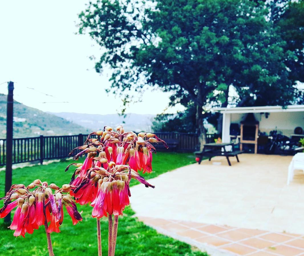 Villa Casa Molina Alcaucín Esterno foto